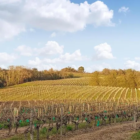 Appartamento Cozy In D'armagnac *