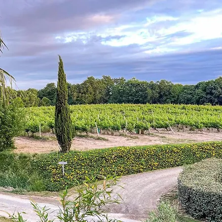 Cozy In D'armagnac 公寓 Mauleon-D'armagnac