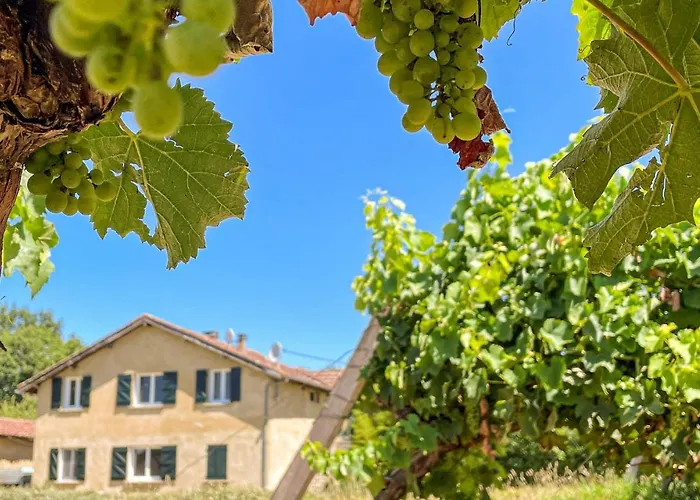 Cozy In D'armagnac Apartment Mauleon-D'armagnac