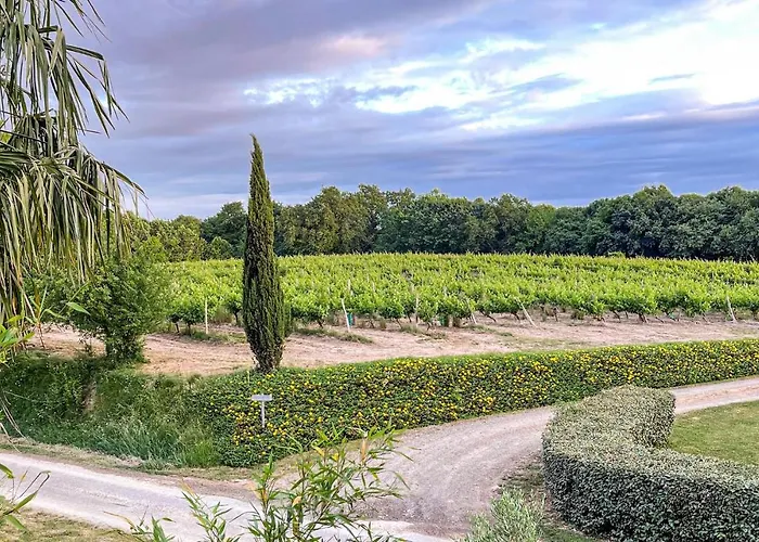 Cozy In D'armagnac 公寓 Mauleon-D'armagnac