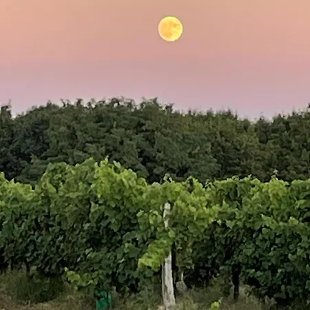 Cozy In D'armagnac *