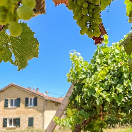 Cozy In D'armagnac Apartment Mauleon-D'armagnac
