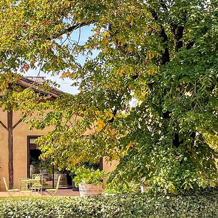 Apartment Cozy In D'armagnac Mauleon-D'armagnac