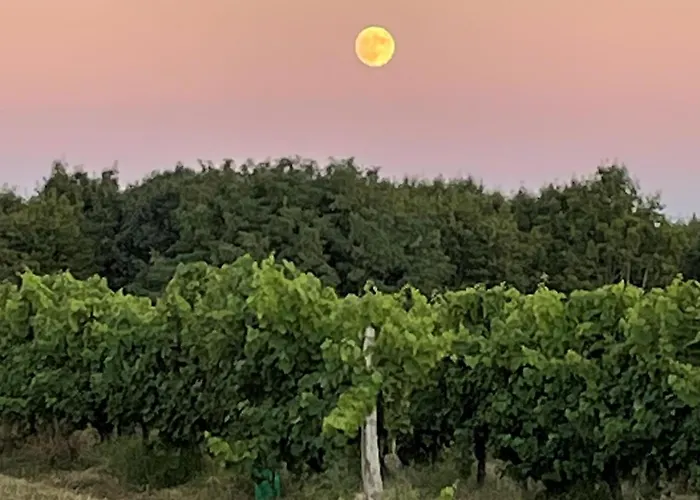 Cozy In D'armagnac *