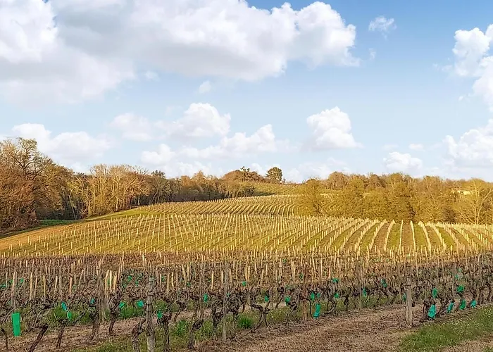 Appartement Cozy In D'armagnac *
